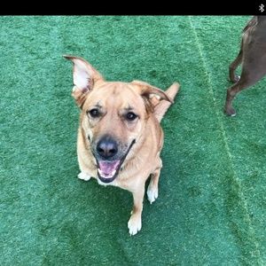 Meet your Posher, Matt